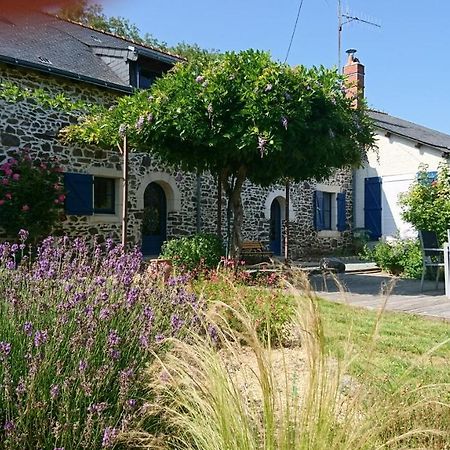 Murmures De Loire Montjean-sur-Loire Exteriér fotografie