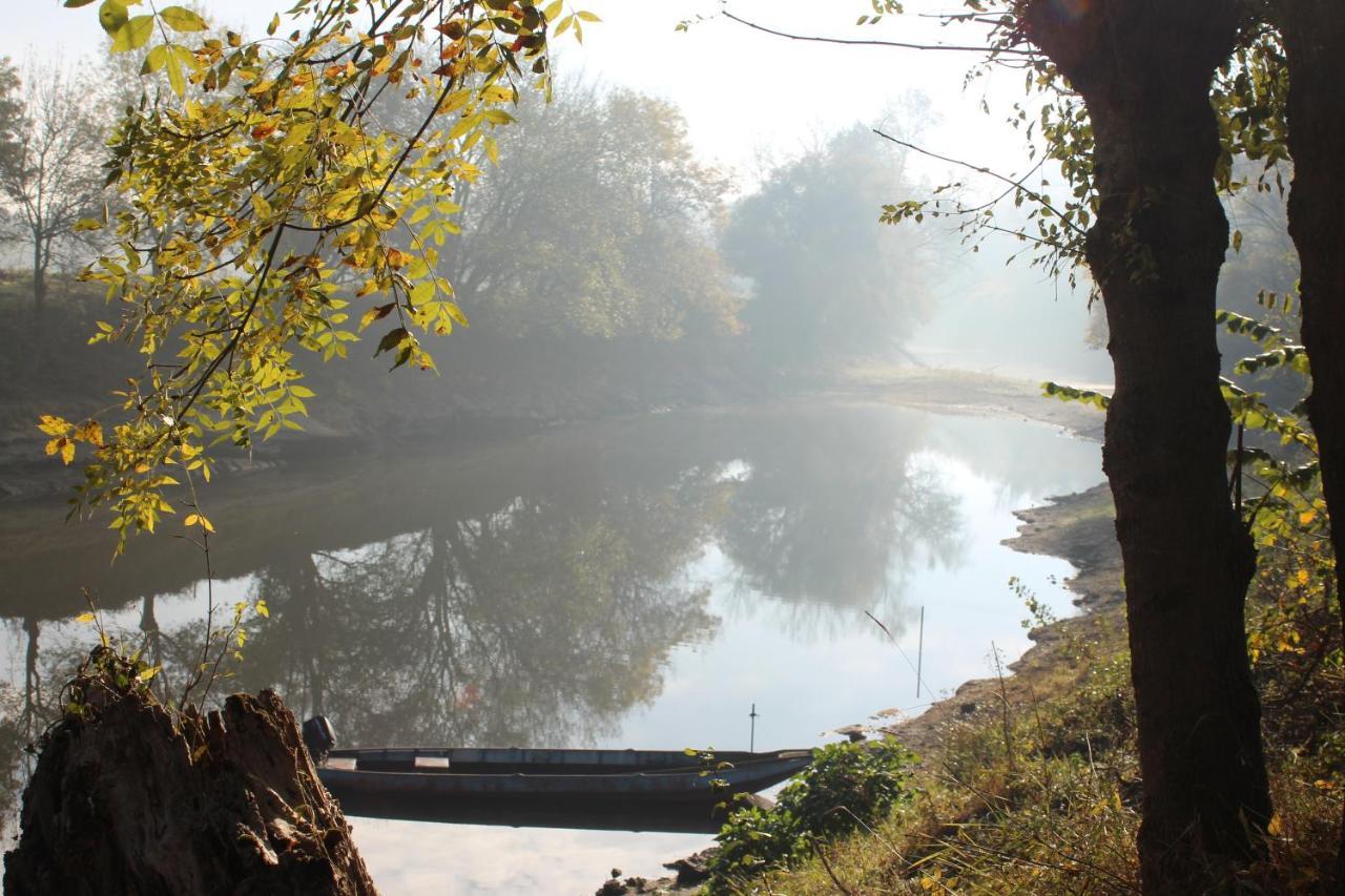 Murmures De Loire Montjean-sur-Loire Exteriér fotografie