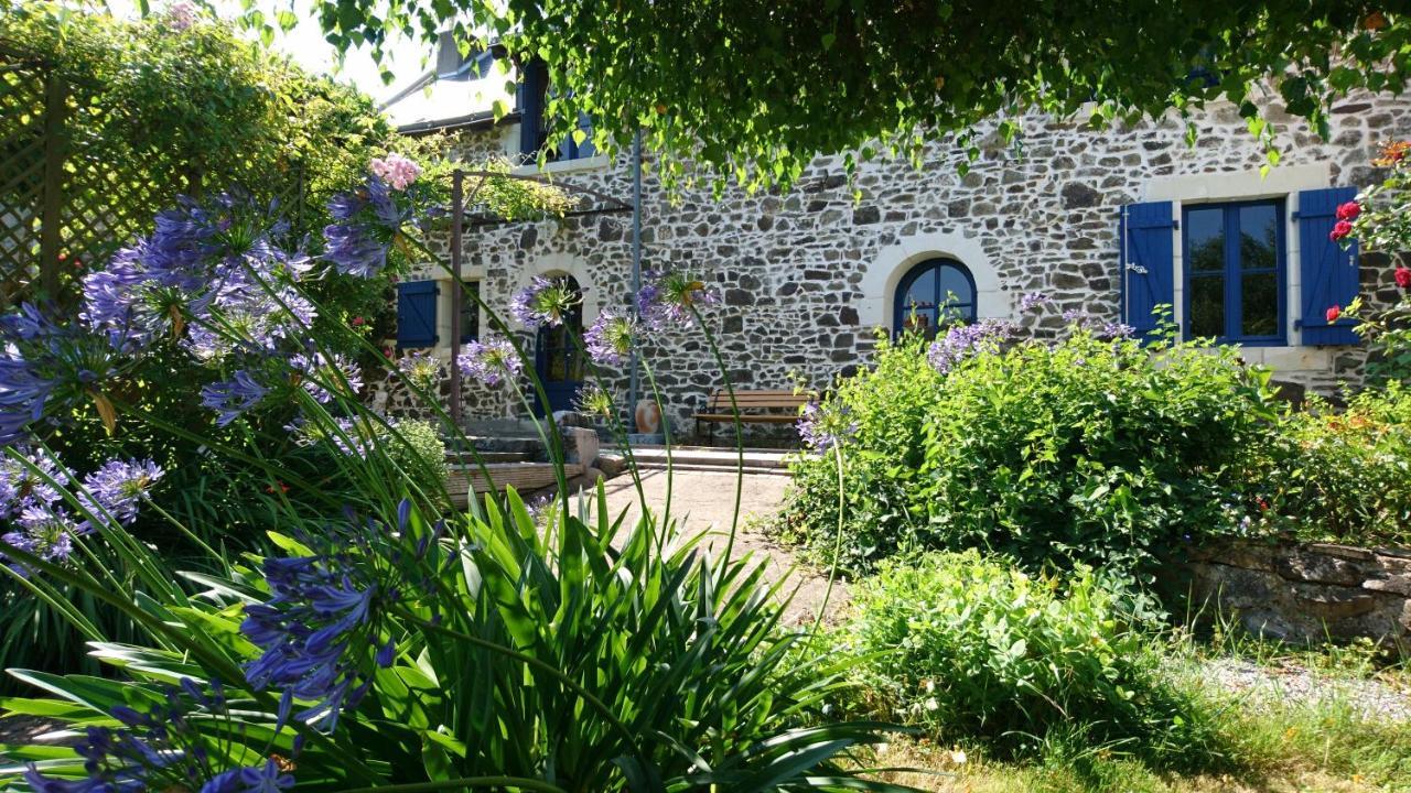 Murmures De Loire Montjean-sur-Loire Exteriér fotografie