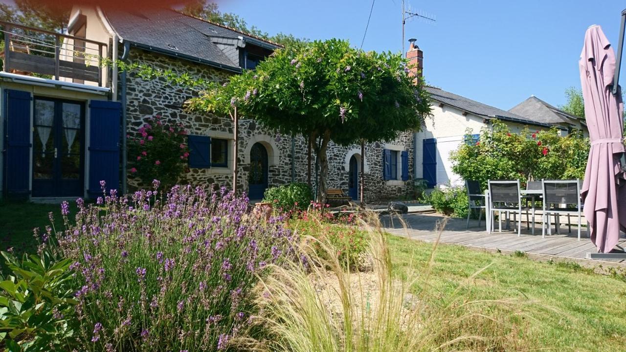 Murmures De Loire Montjean-sur-Loire Exteriér fotografie